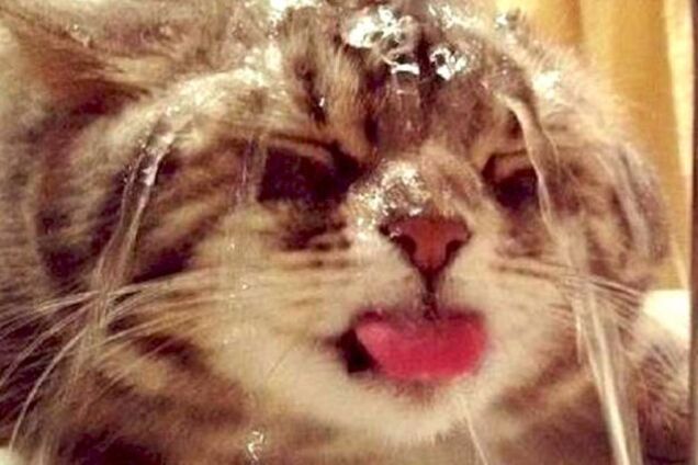 В Україну повертається спека: з'явився прогноз погоди на початок тижня