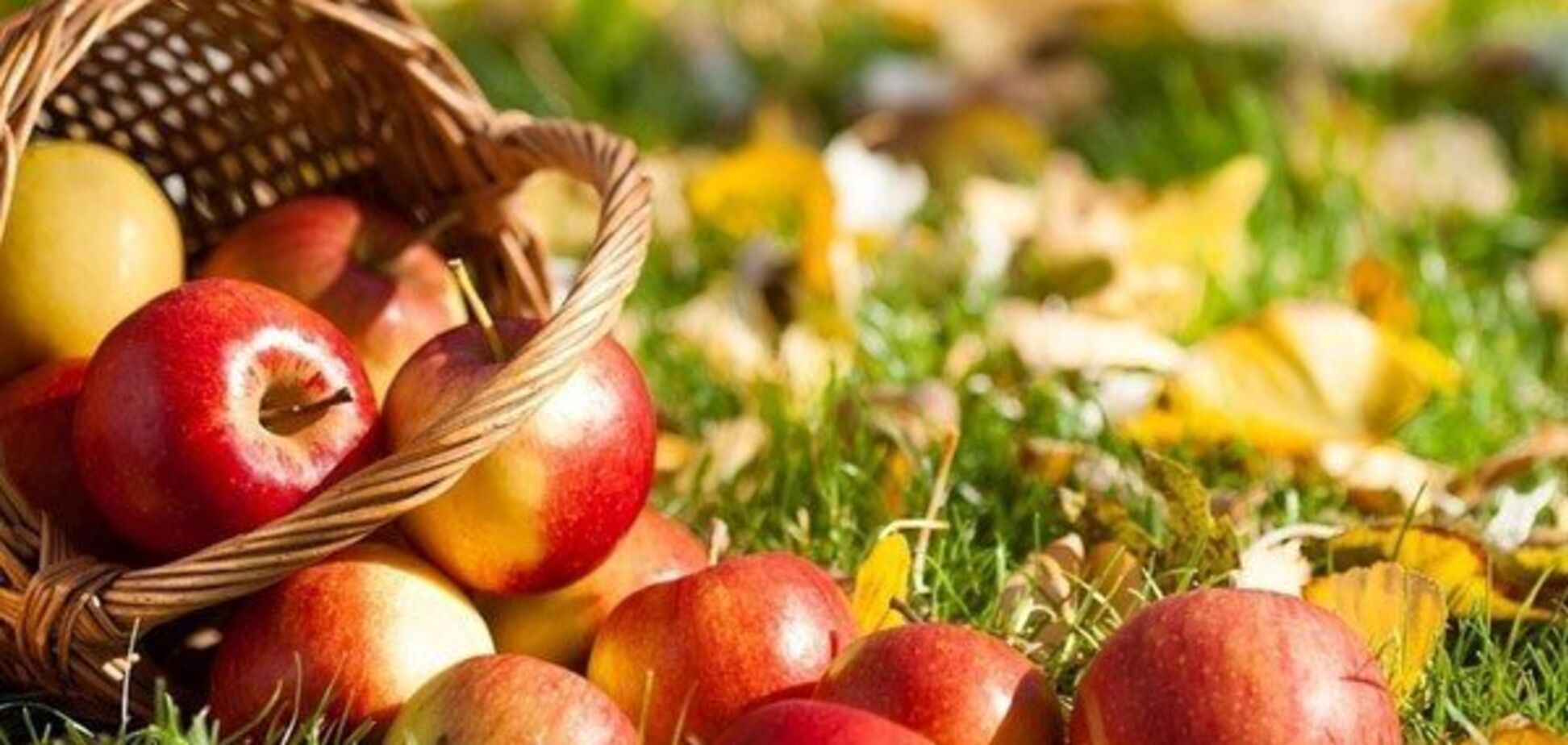 В Украине предложили отменить Яблочный Спас: в чем причина