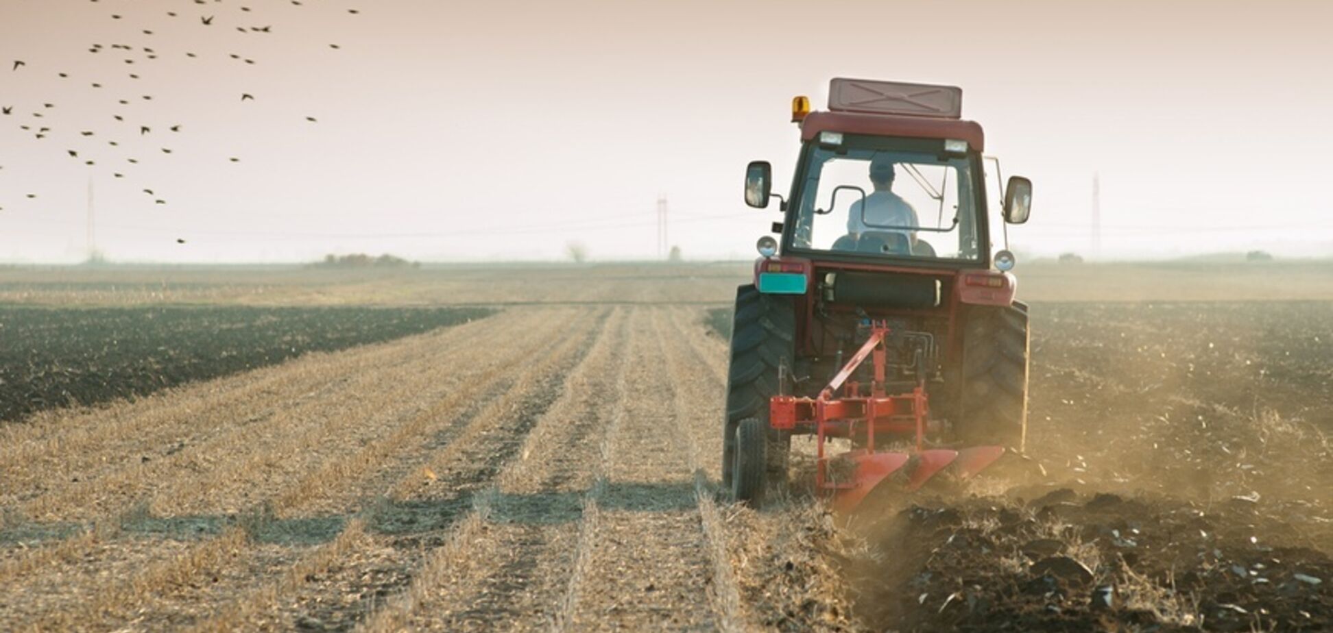 Чия земля і як нею користуватися: Порошенко підписав важливий закон про угіддя