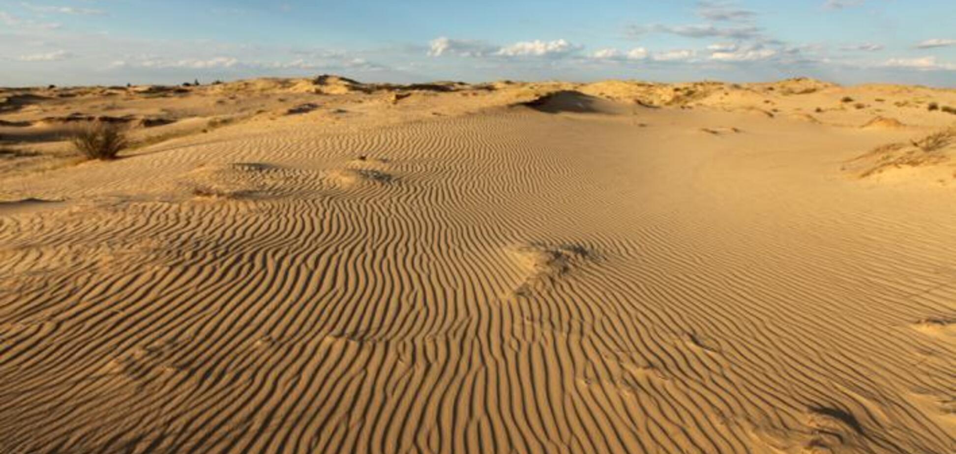 Превратится в пустыню: Украине предсказали печальное будущее