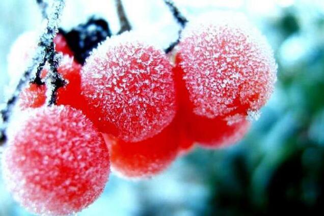 Зими не буде взагалі: вчені налякали прогнозом щодо України