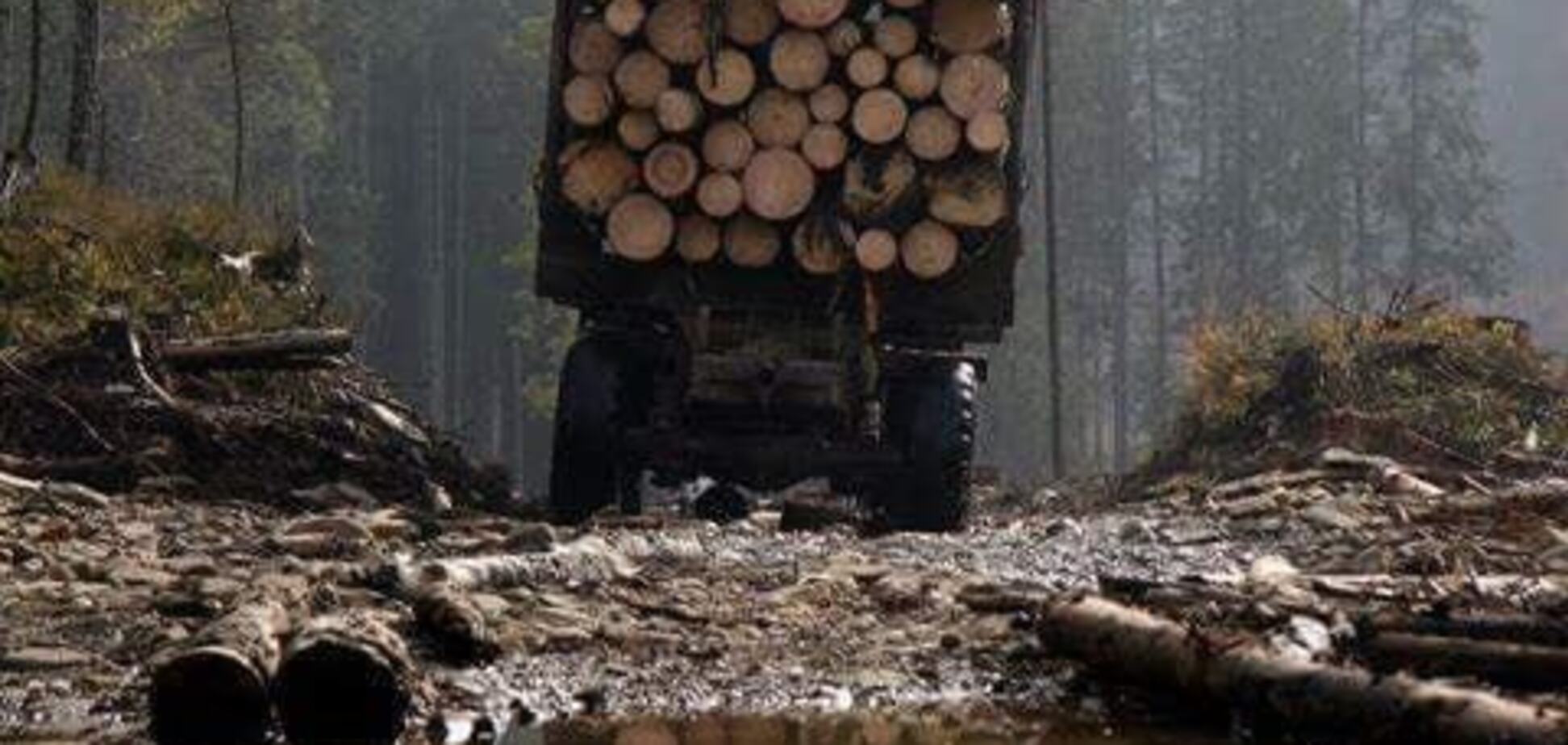 Контрабанда лісу з Україну