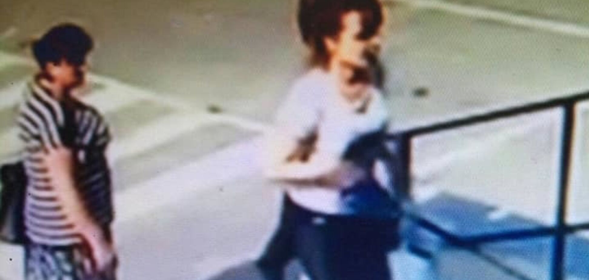 'Украли Афоню!' Киевлянка рассказала о грустном приключении с любимцем семьи