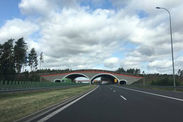 В Польше невозможно попасть в ДТП. И вот почему