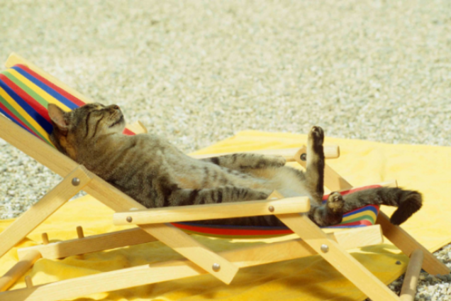 Осенью и не пахнет: появился свежий прогноз погоды в Украине