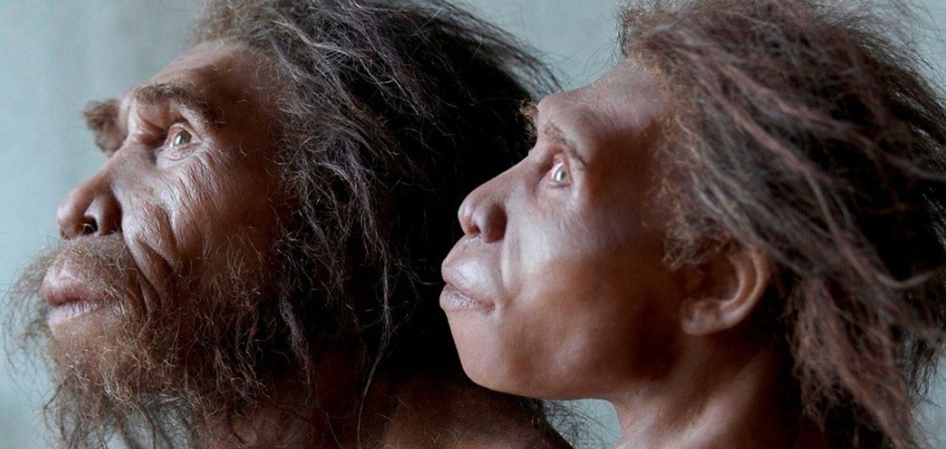 Ошибка природы: ученые раскрыли секрет появления человека