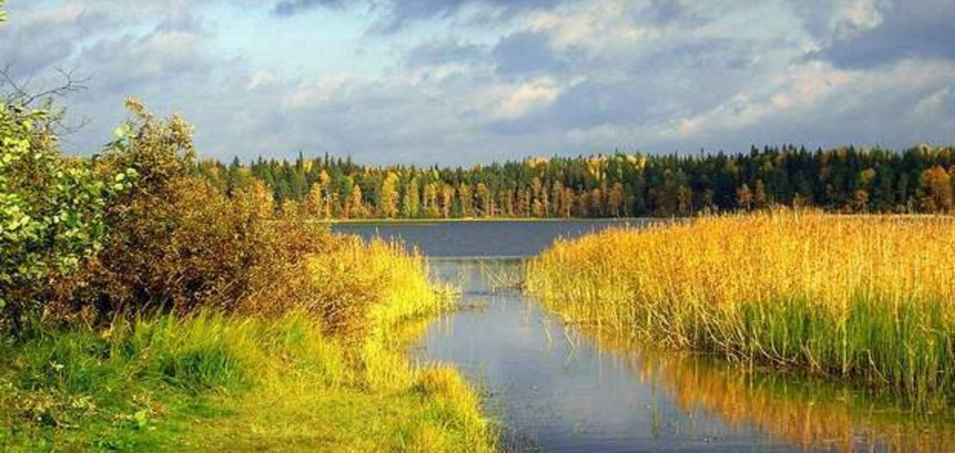 Дихання осені: синоптики дали прохолодний прогноз погоди в Україні