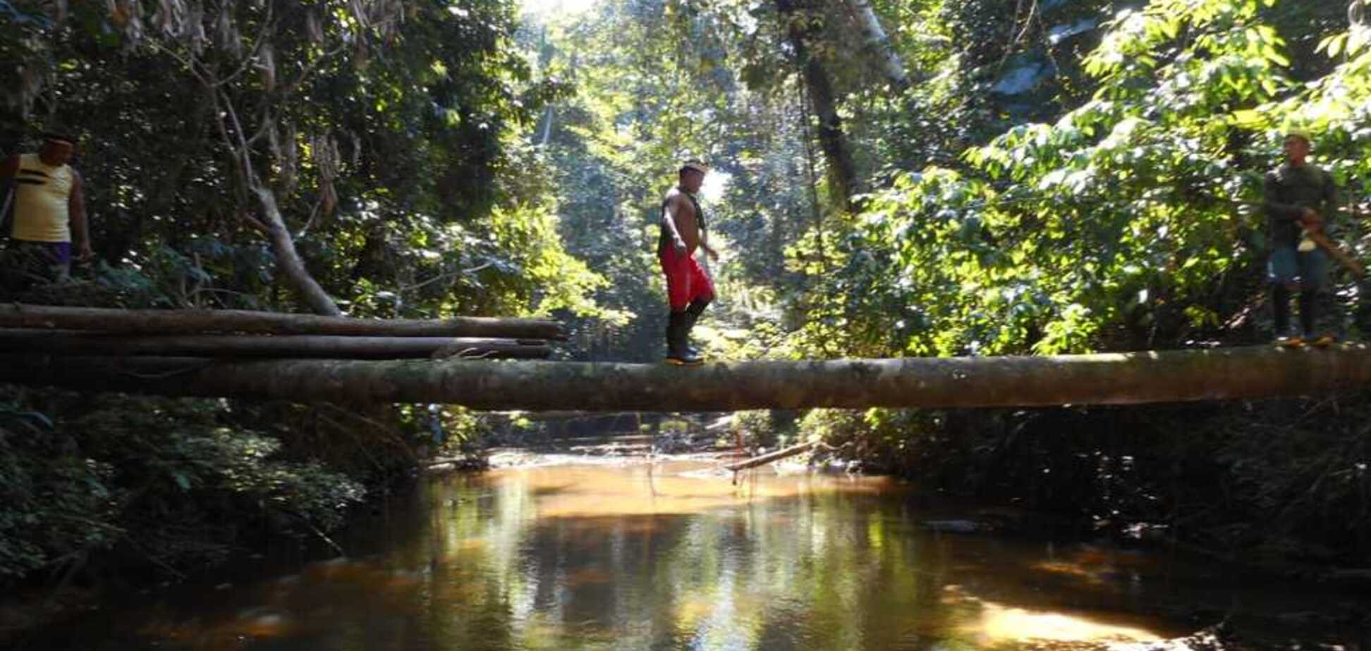 Цивилизация не затронула: в Бразилии нашли затерянное племя дикарей