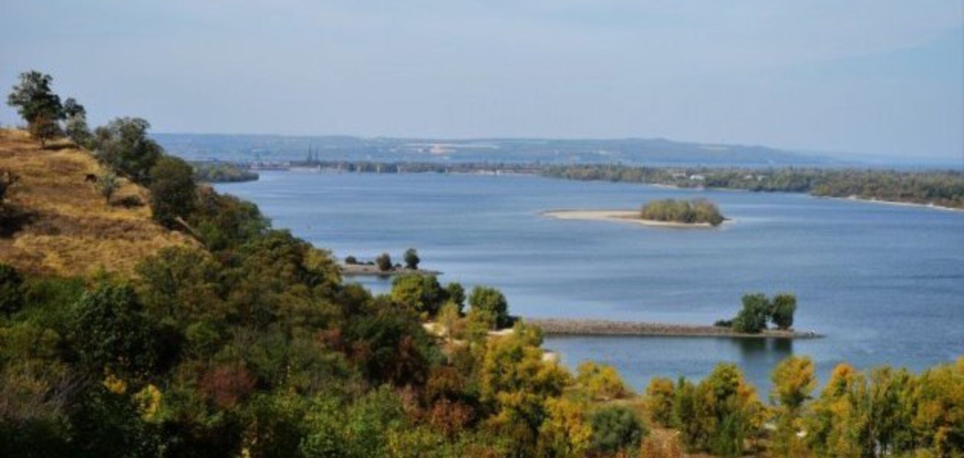 Ця мерзота брутально розтоптала конституційний лад в Україні 