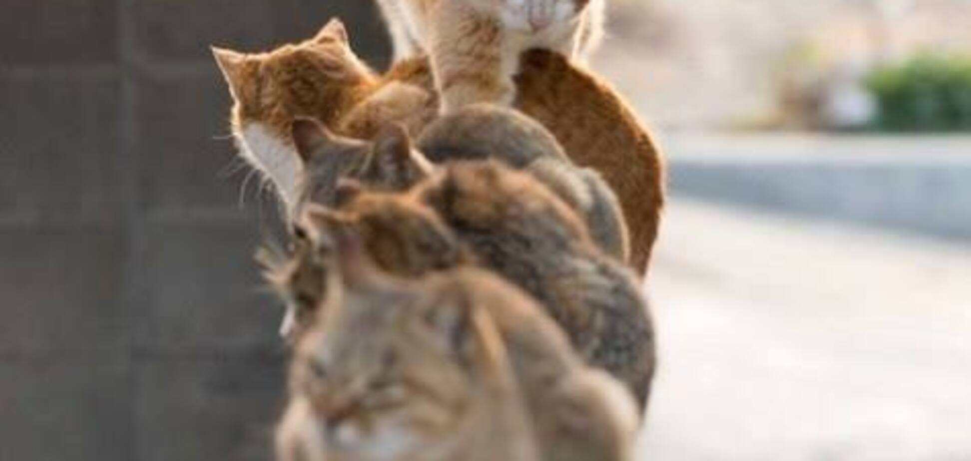 Анекдоты дня: лучшие приколы за 27 августа