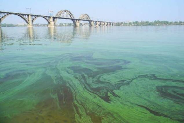 Душит все живое: Днепру грозит страшная экологическая катастрофа