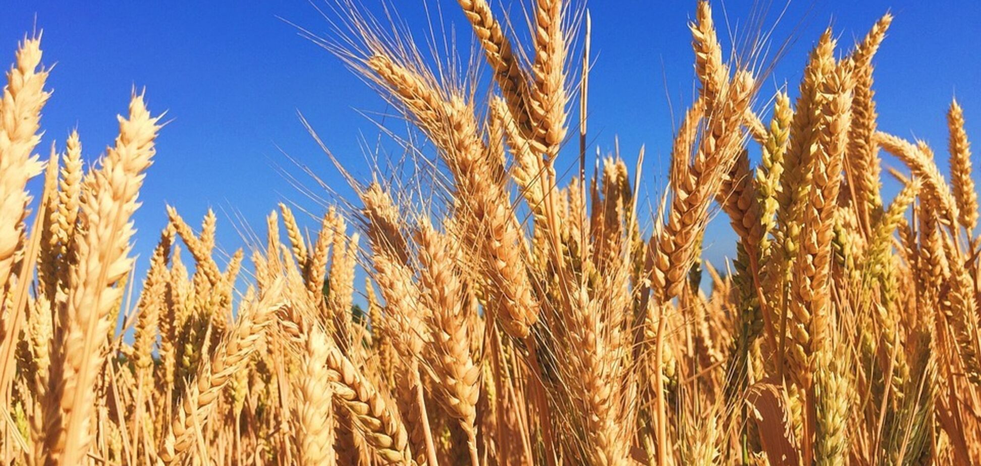 Приметы на 28 августа: что нельзя делать