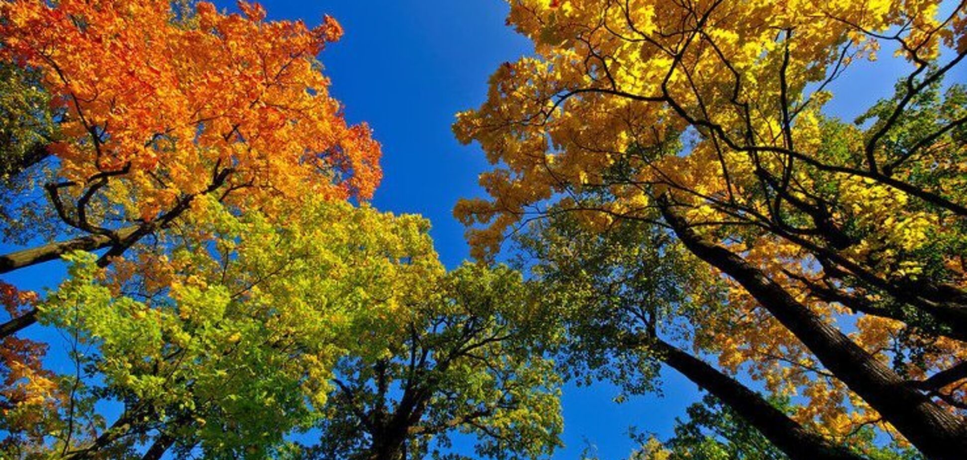 До +38: синоптики дали прогноз погоды на сентябрь