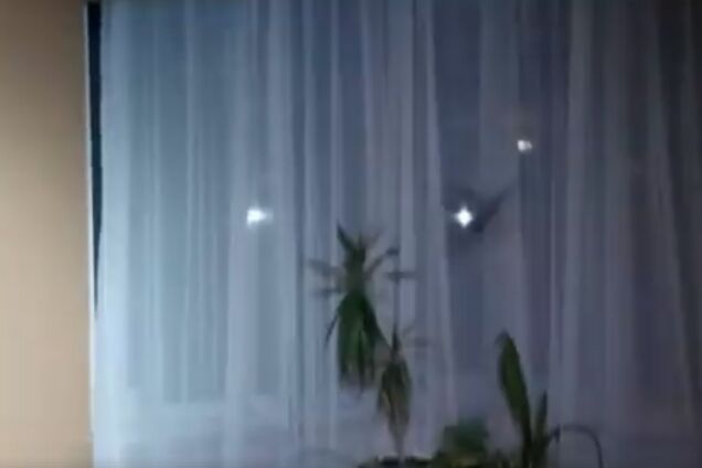 В Киеве летучие мыши залетели в квартиру: пугающее видео