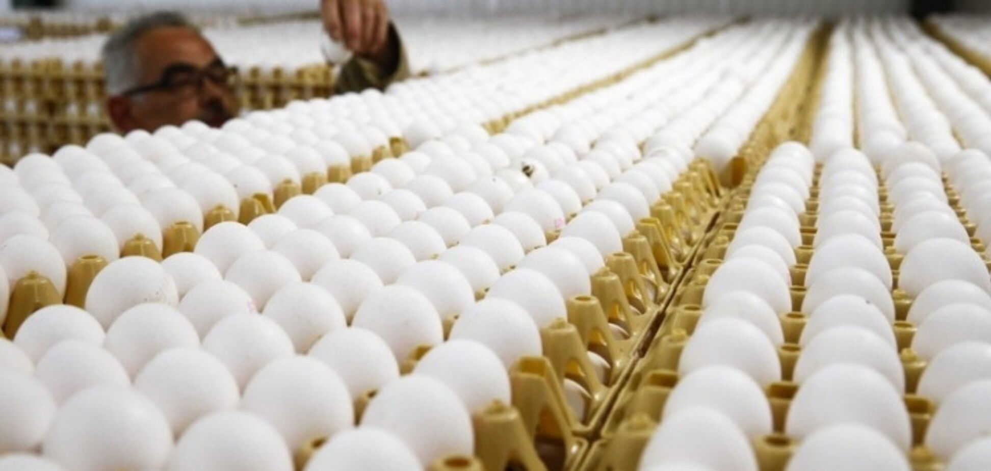 Експортний прорив України: продаж яєць підскочив у кілька разів