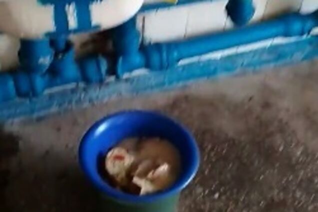 'Фреймут на них немає': в мережі показали жахливу лікарню в Україні