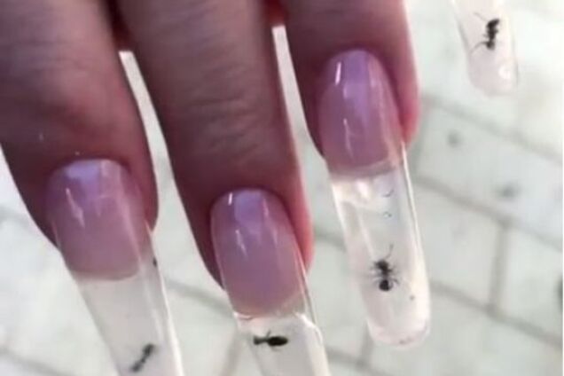 'Люди збожеволіли': манікюр із живими мурахами викликав резонанс у мережі