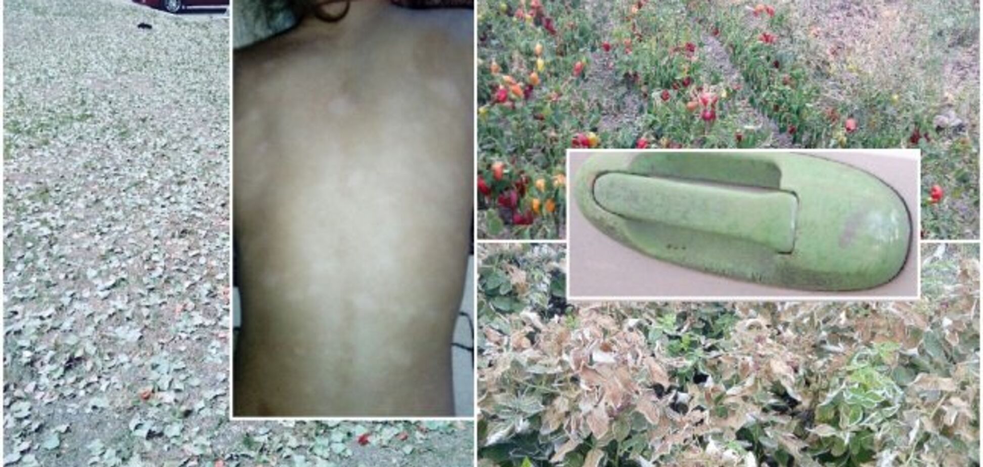 Новости Крымнаша. Геноцид в Армянске: глаза текут, першит горло, водой напиться невозможно