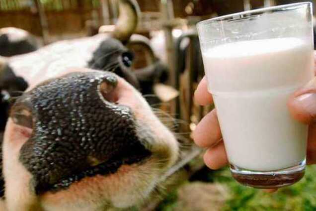 Як обрати якісне молоко: названі важливі критерії