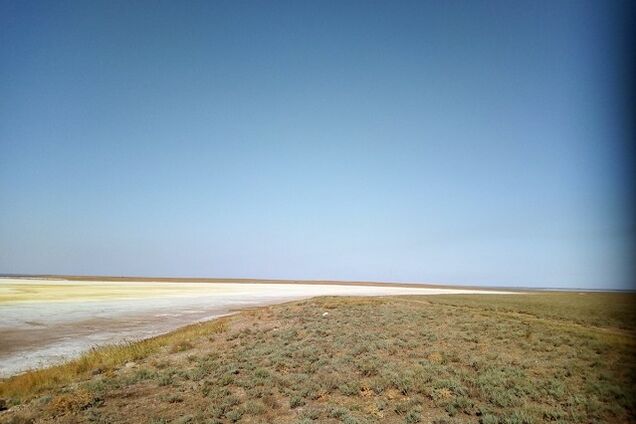 Химатака в Крыму: появились доказательства катастрофы