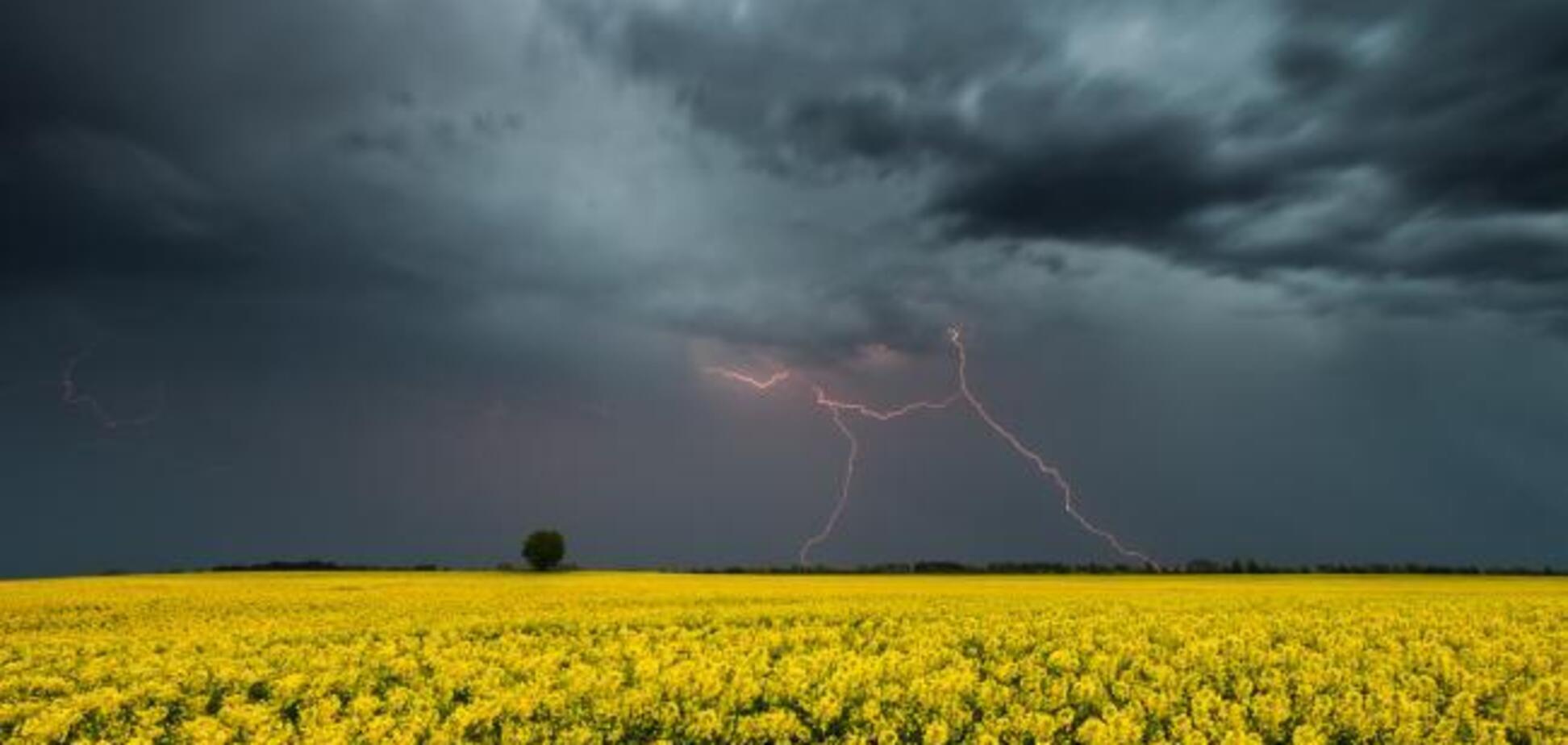 Жара и прохлада разделят Украину: появился свежий прогноз погоды