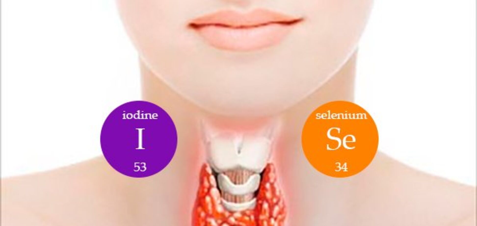Скільки йоду потрібно для нормальної роботи щитоподібної залози
