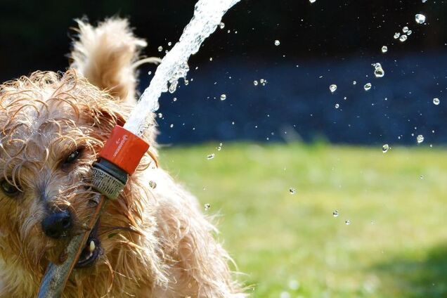 Аномальная жара: стало известно, когда в Украине похолодает