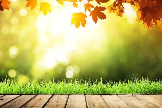 Лето задержится: синоптики дали прогноз погоды на сентябрь