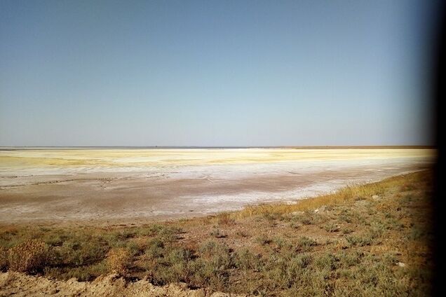 Экологическая катастрофа в Крыму: оккупанты назвали причину