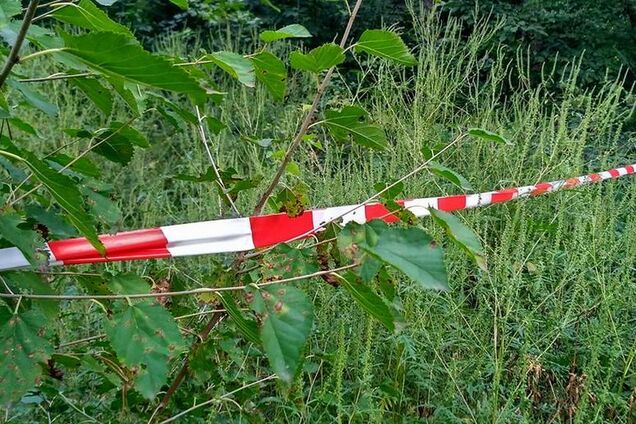 вбивство жінки