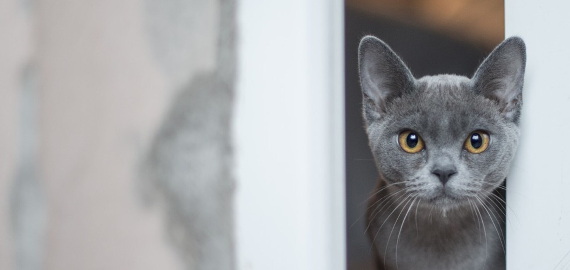 Анекдоти дня: кращі приколи за 30 серпня