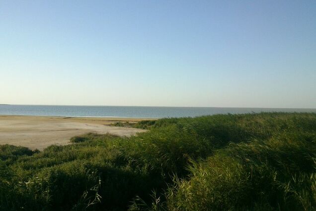 Новости Крымнаша. Может, нас специально вытравливают???