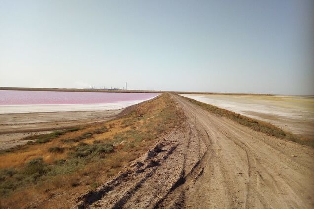 'Навіть озеро стало червоним': яке лихо накрило Крим і як люди рятуються від 'хіматаки'