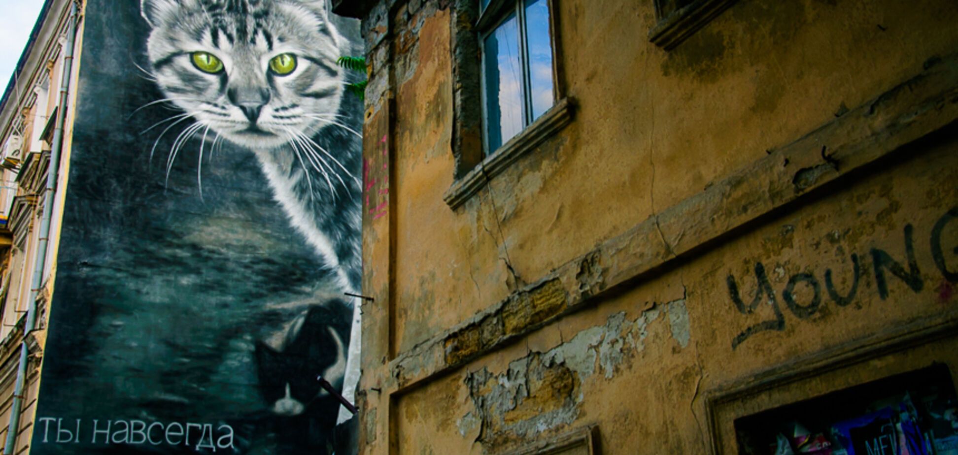 'Вот за что я люблю Одессу': в городе появился милый мурал
