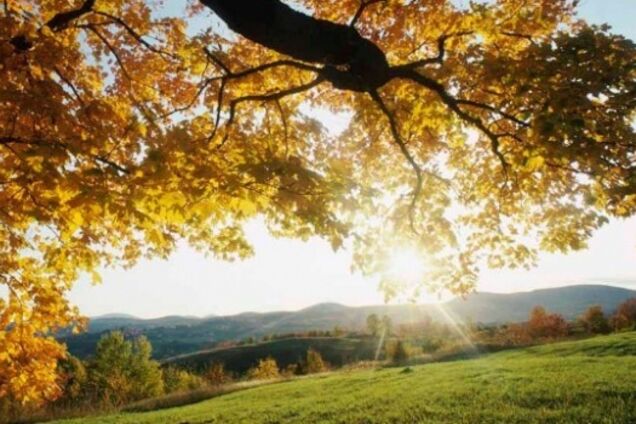 Пекельна спека та різке похолодання: якою буде погода в Україні у вересні