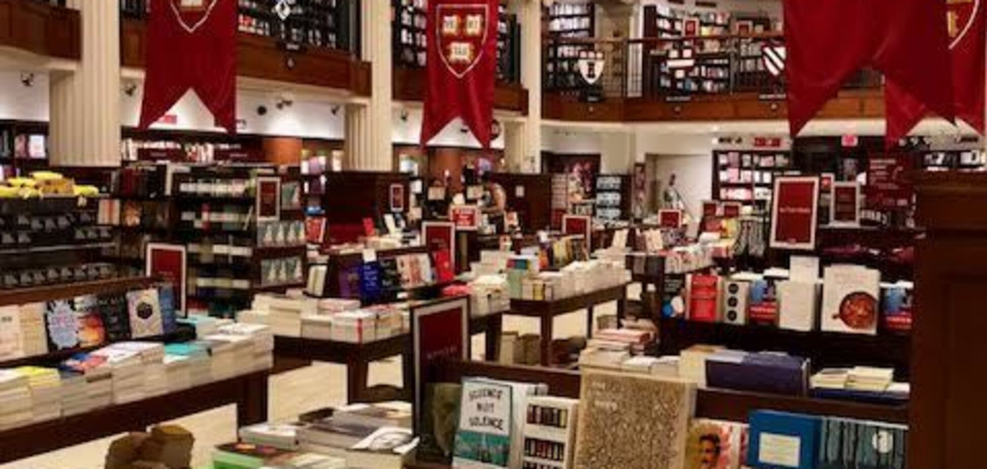 История украинца, который окончил Гарвард: как поступить и сколько это стоит