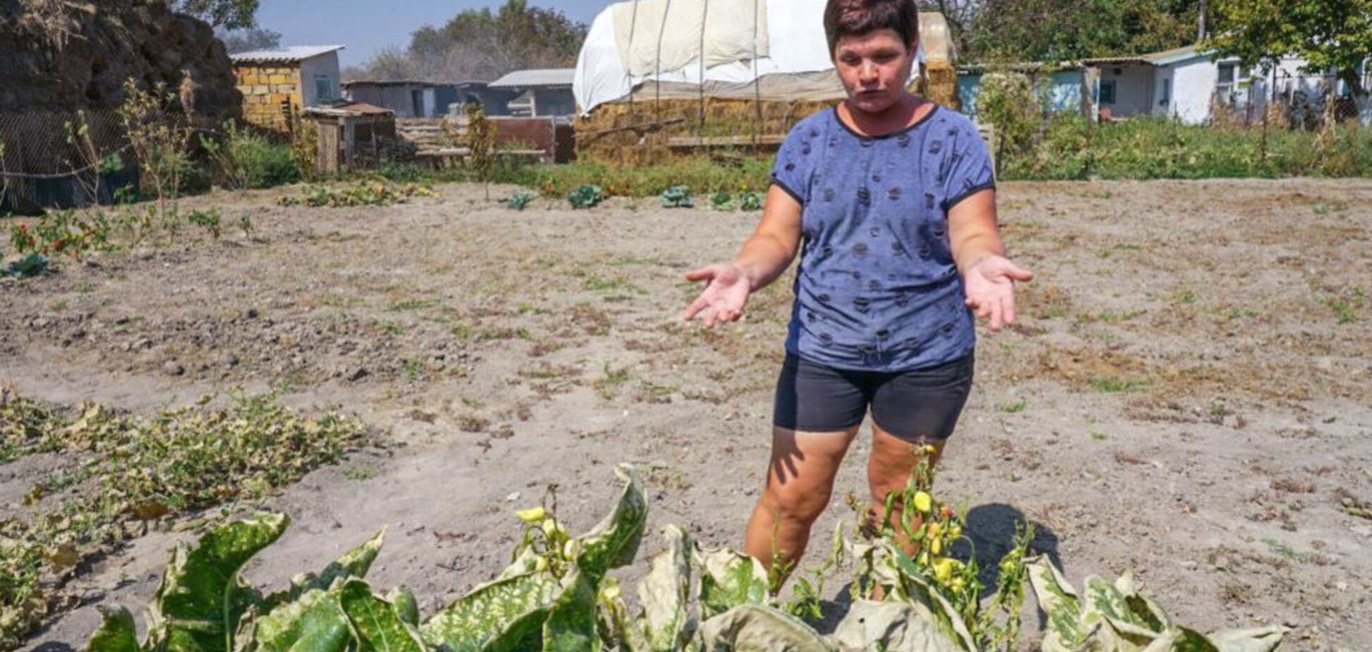 'Усе згоріло за два дні!' У мережі показали, на що 'хіматака' перетворила Крим