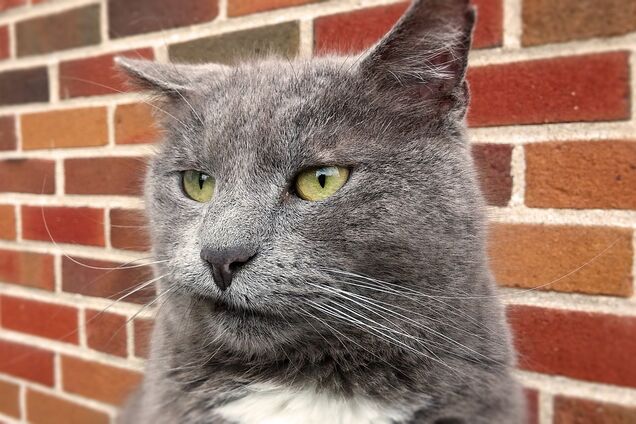 Анекдоты дня: лучшие приколы за 31 августа