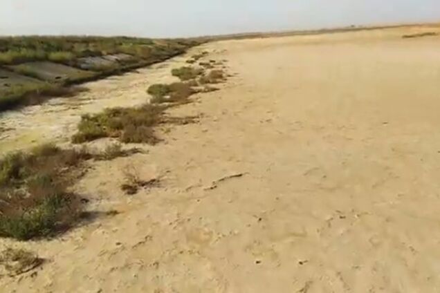 Новости Крымнаша. Армянск, прекратите это шоу самоубийц! Вывозите детей!