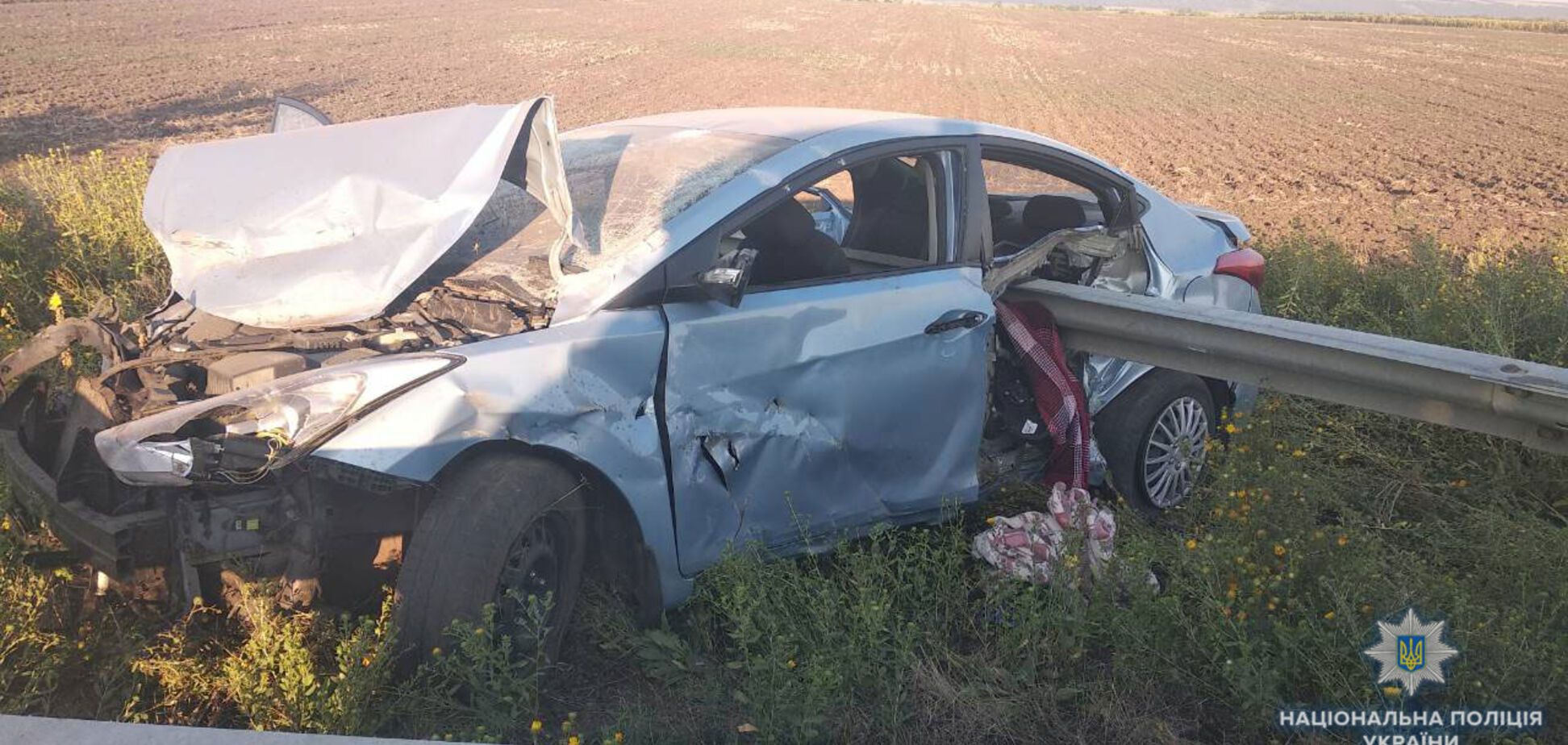 Спасли собаку, но потеряли сына: под Одессой произошло страшное ДТП