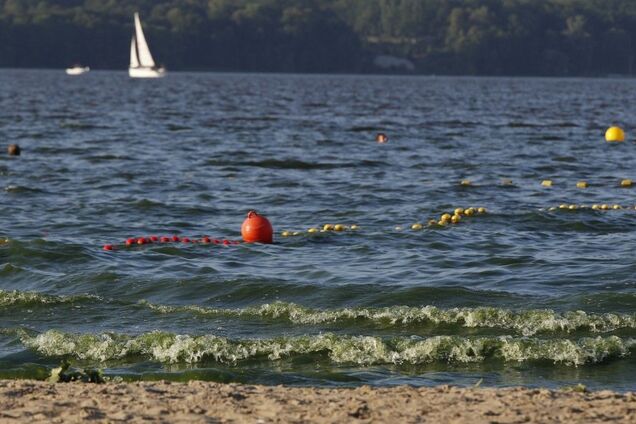 Європу атакують отруйні водорості: що сталося