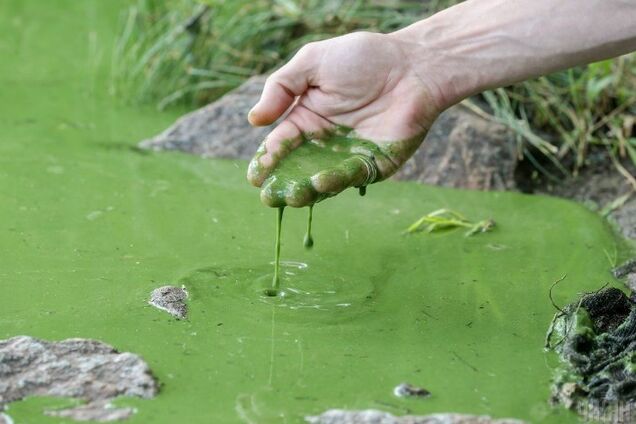 Как убивают Днепр: экологи рассказали, что творится с рекой
