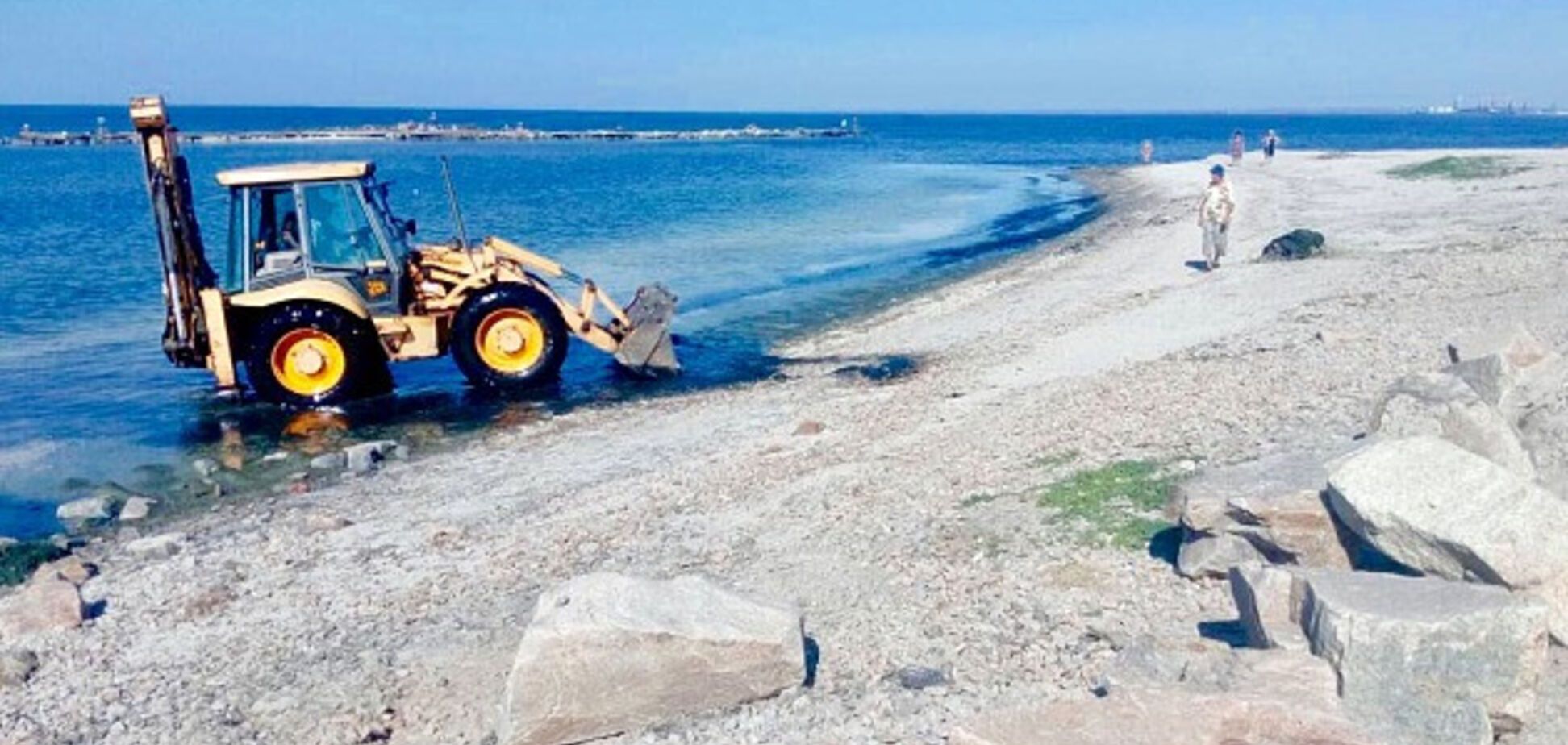 Бердянские пляжи снова покрылись водорослями