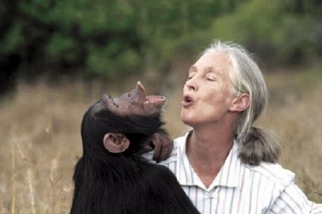 'Ген речи' не ключевой: в США опровергли историю появления человека