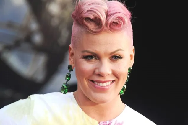 Концерты отменены: певица Pink угодила в больницу