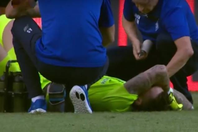 Воротаря 'Динамо' під час матчу Ліги чемпіонів вкусила отруйна комаха