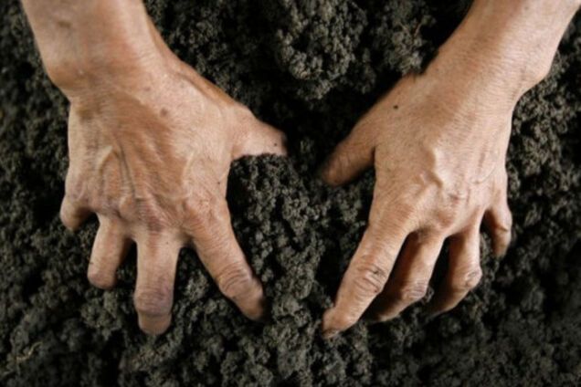 Депутат Киевсовета может быть причастен к рейдерству: появились подробности