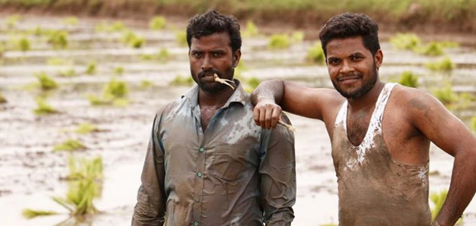 'Грязные танцы': видео с пляшущими в Индии фермерами стало хитом в сети