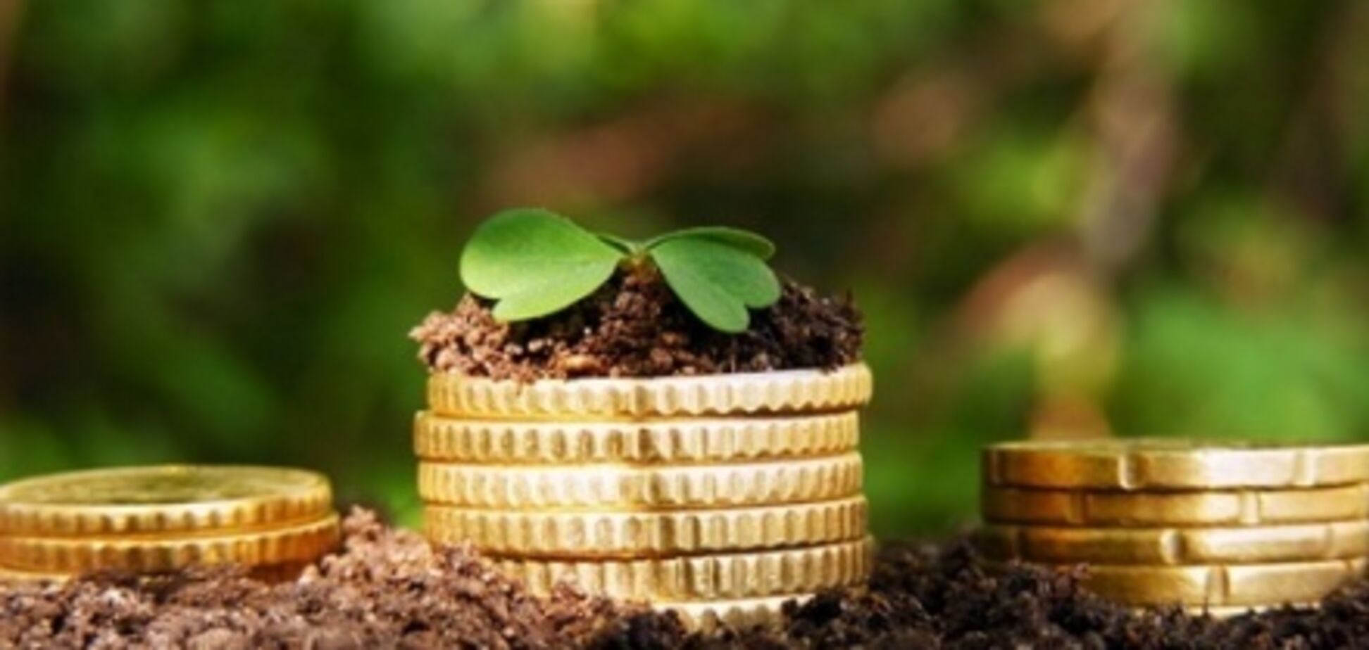 Смерть аренды, или Шахматы на земельном поле