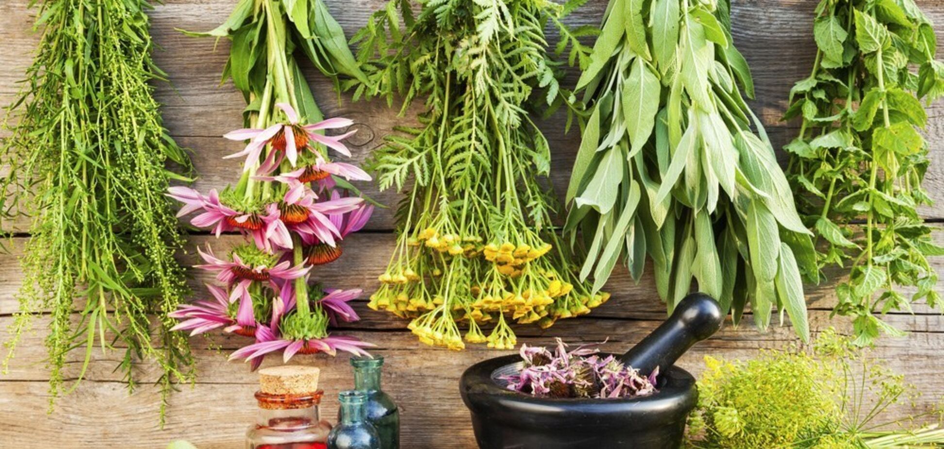 День Пантелеймона в Україні: що не можна робити